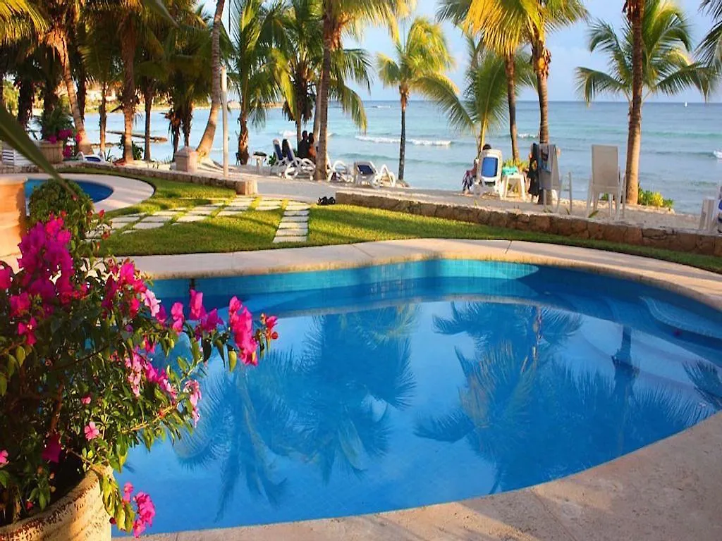 Quinta Maya | 1Br | Studio| Puerto Aventuras Apartment